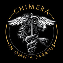 Load image into Gallery viewer, C Co 501st BSB Black Hyperion Hoodie (Premium)
